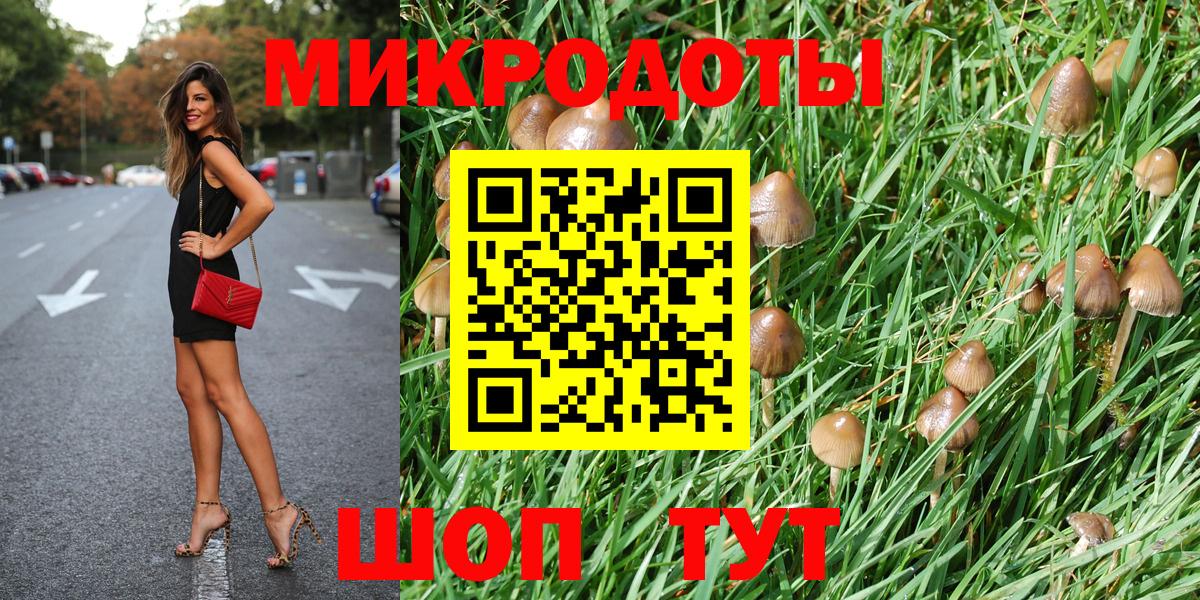 Галлюциногенные грибы Psilocybine cubensis Стрежевой