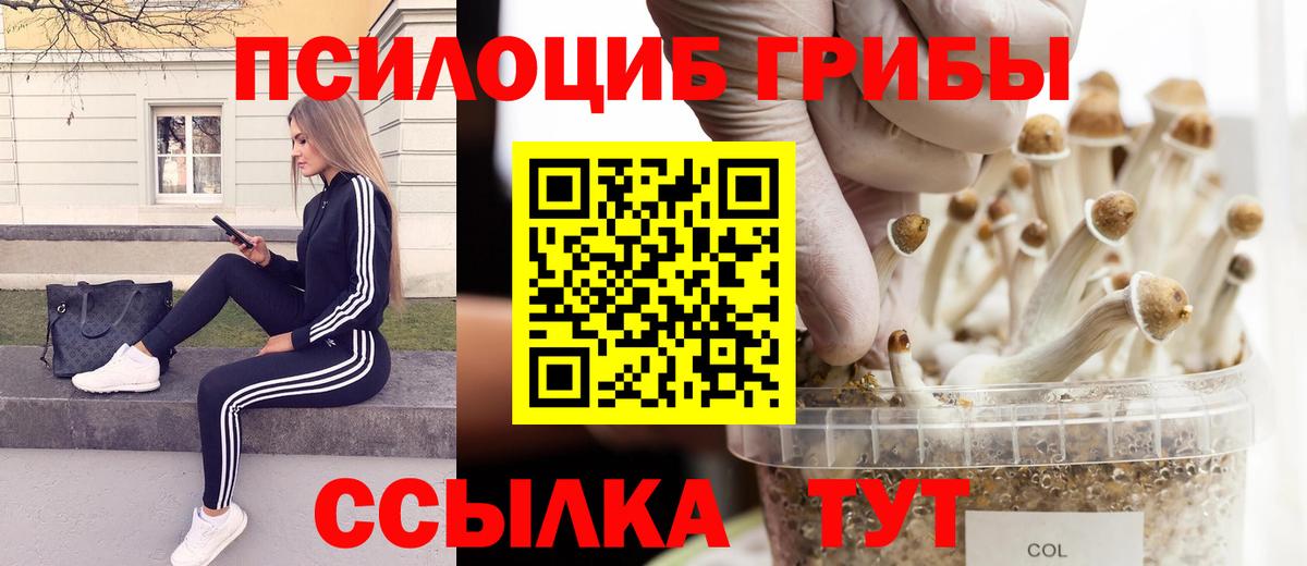 Стрежевой  Галлюциногенные грибы Magic Shrooms  Вход с VPN 